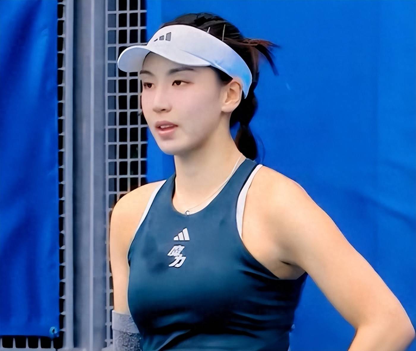 正如任何一 正如任何一