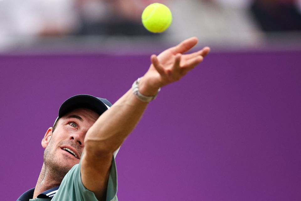 平台希望同 平台希望同