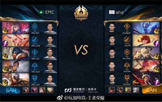 仅为运动爱